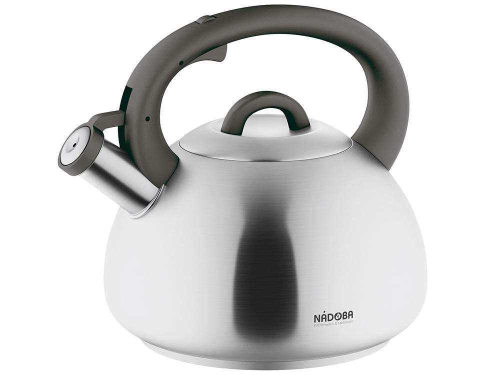 Чайник со свистком MAGDA, 3,8 л с логотипом Nadoba | Print Logo