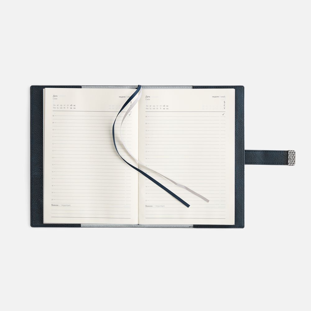 Ежедневник Repute, недатированный