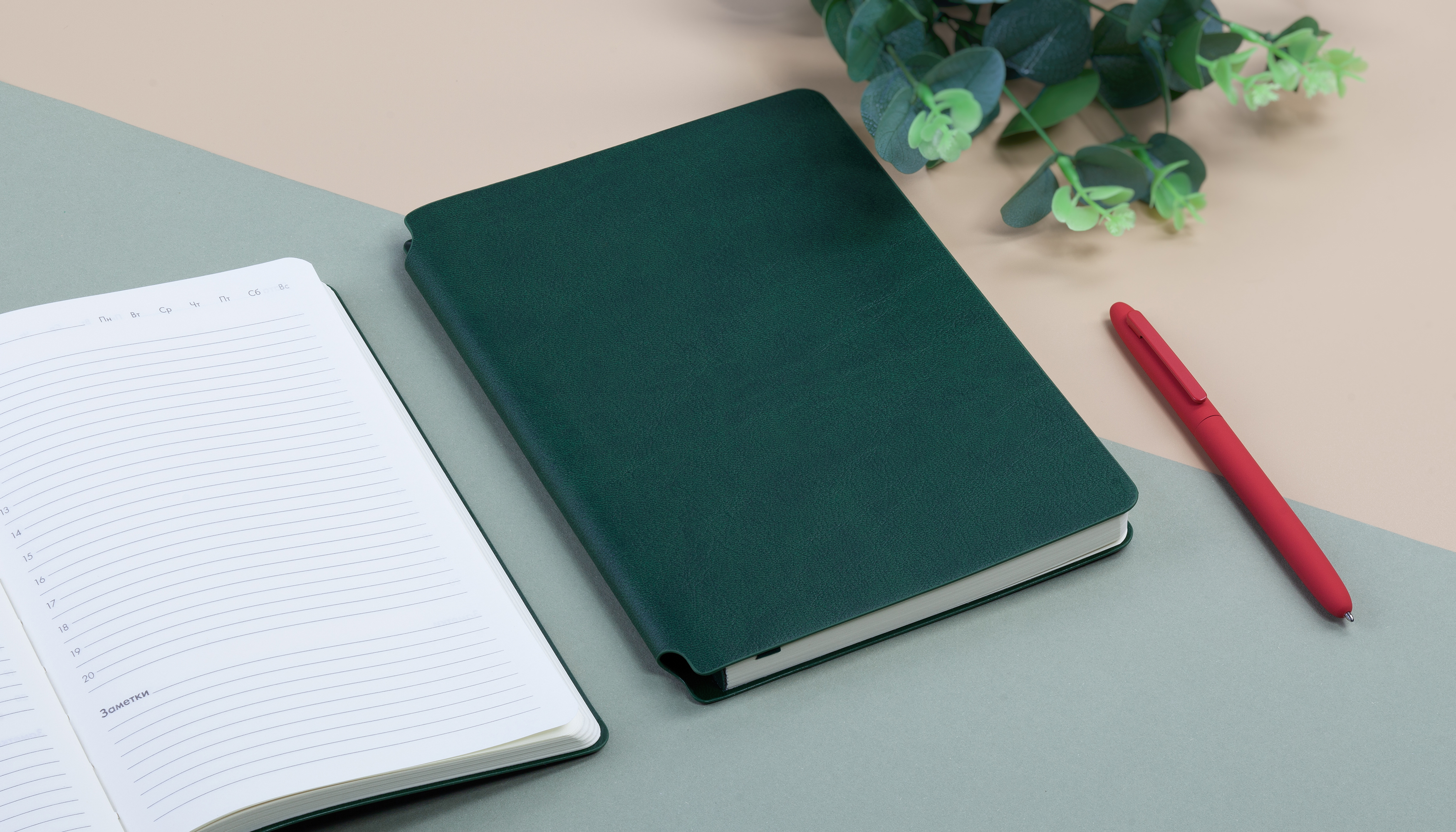 Ежедневник недатированный "Альба", формат А5, гибкая обложка, зеленый