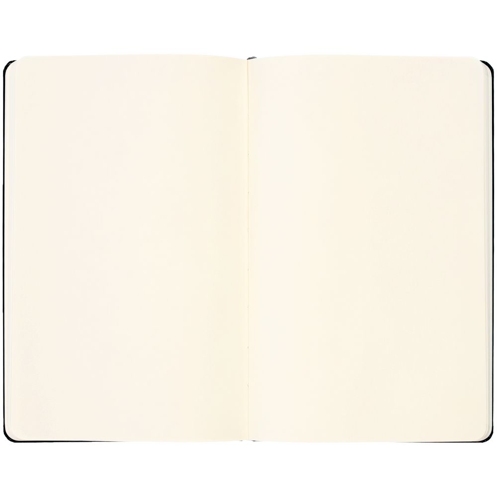 Записная книжка Moleskine Classic Large, без линовки