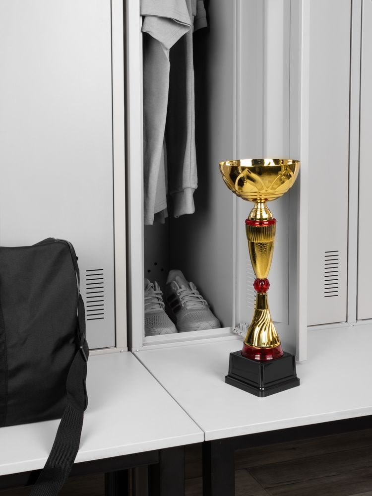 Кубок Awardee, большой