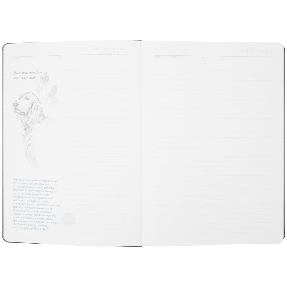 Ежедневник «История изобретений», недатированный