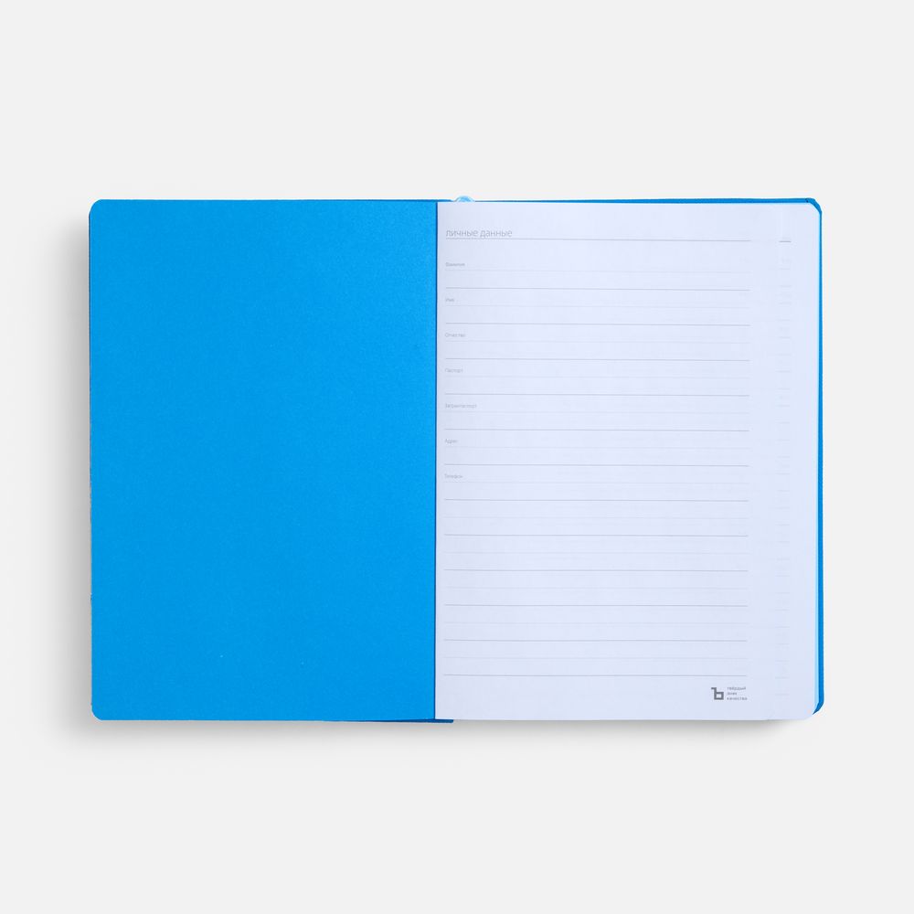 Ежедневник Peel, недатированный, синий