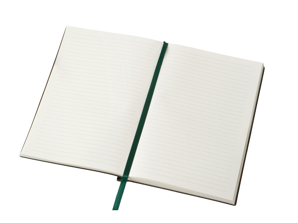 Блокнот А5 Scribe, гибкая обложка, 96 листов 80 гр/м2, зеленый