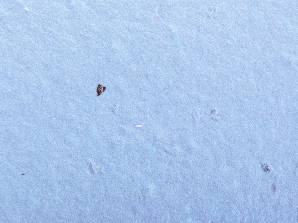 Живой блокнот с семенами цветов, А6, синий