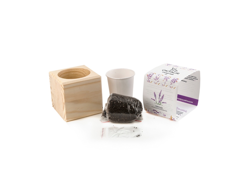 Набор для выращивания Big village cube Лаванда