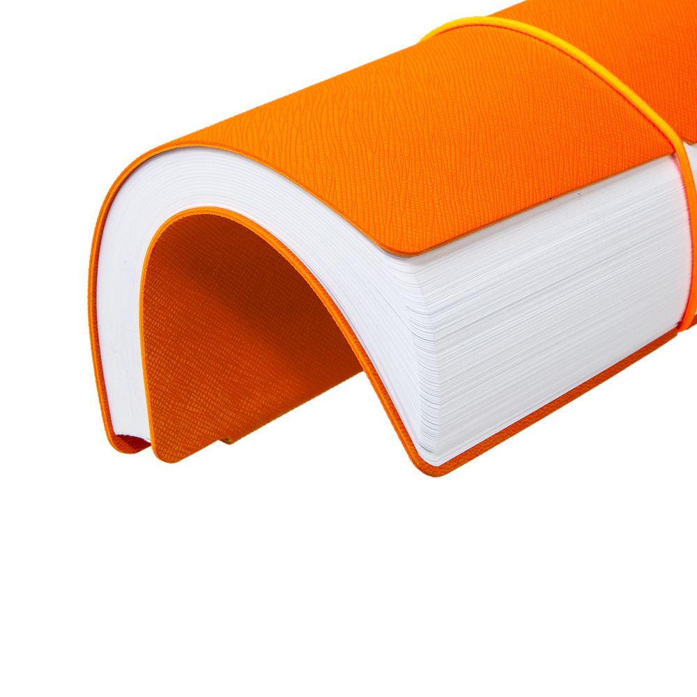 Ежедневник Flexpen Bright, недатированный фото на сайте Print Logo.