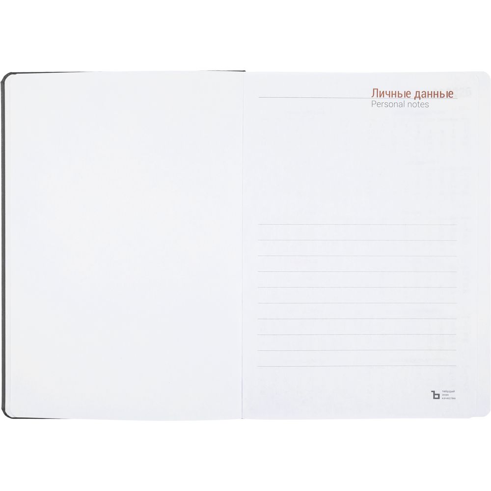 Ежедневник Basis, датированный