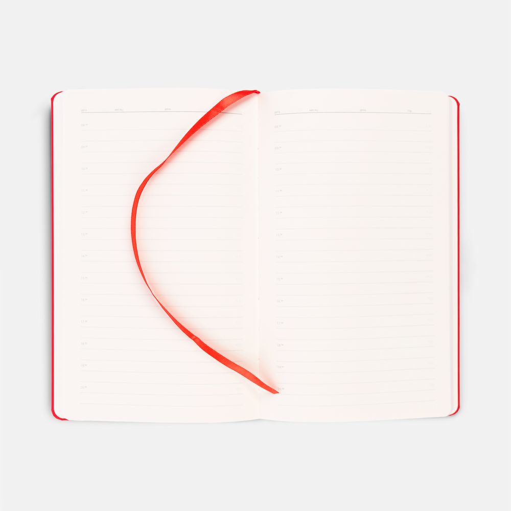 Ежедневник Magnet Shall, недатированный