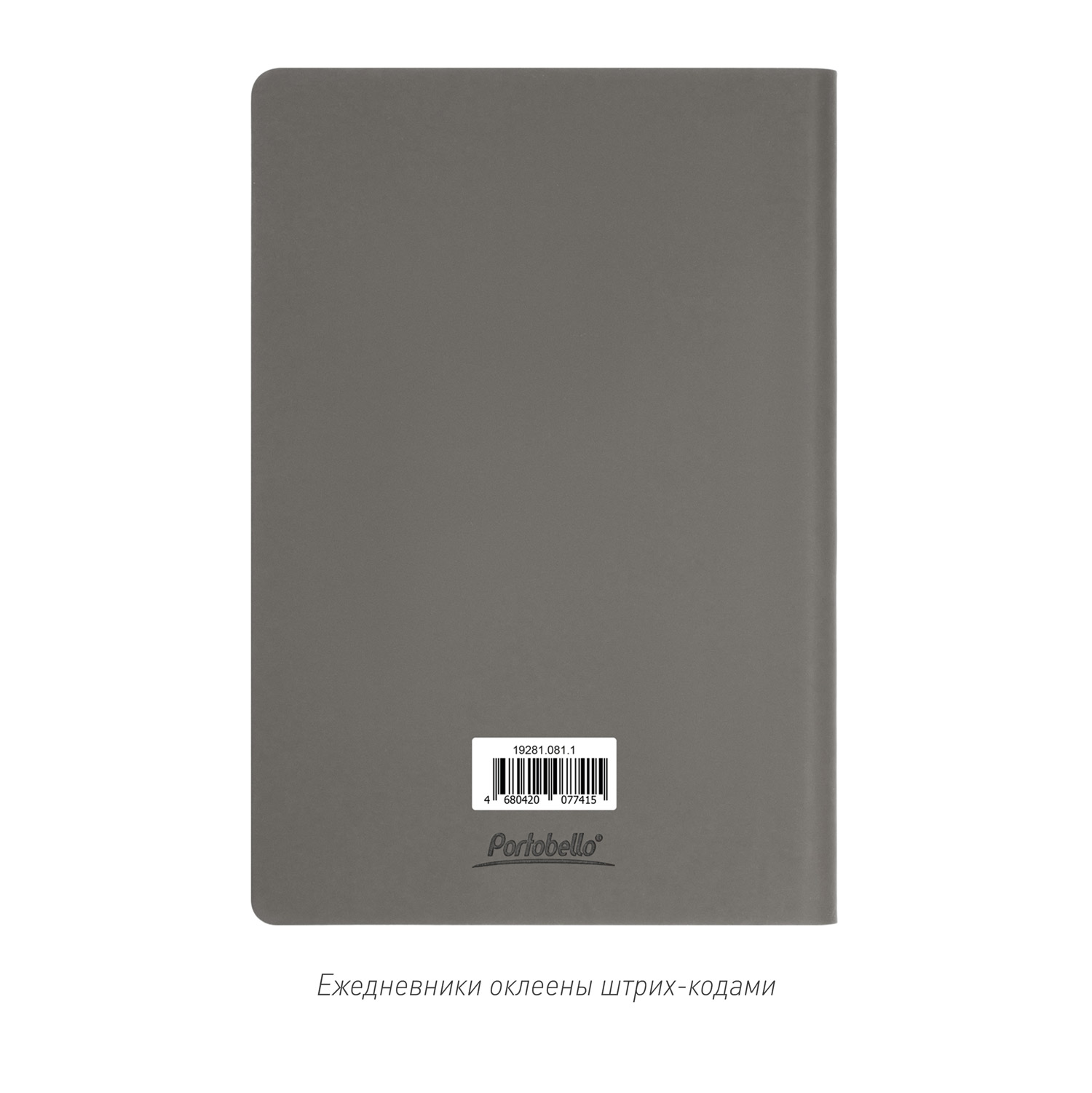 Ежедневник Стар (Star) недатированный, серый (без упаковки, без стикера)