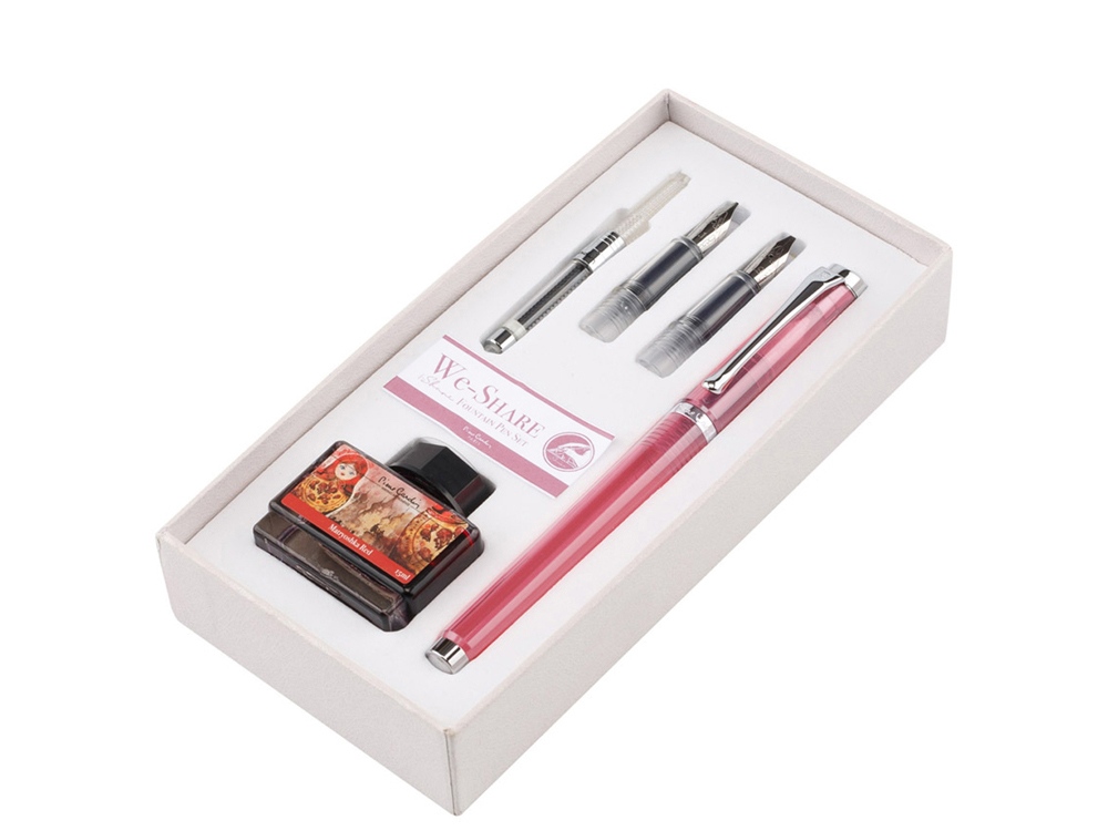 Набор WE-Share: ручка перьевая, сменные насадки, конвектор, чернила с логотипом Pierre Cardin | Print Logo