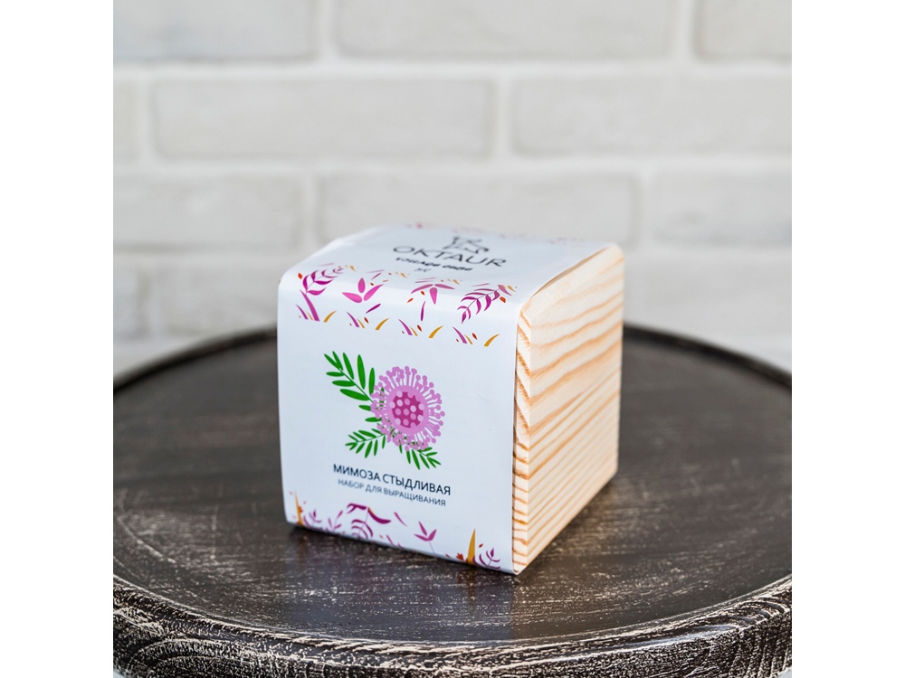 Набор для выращивания Big village cube Мимоза стыдливая