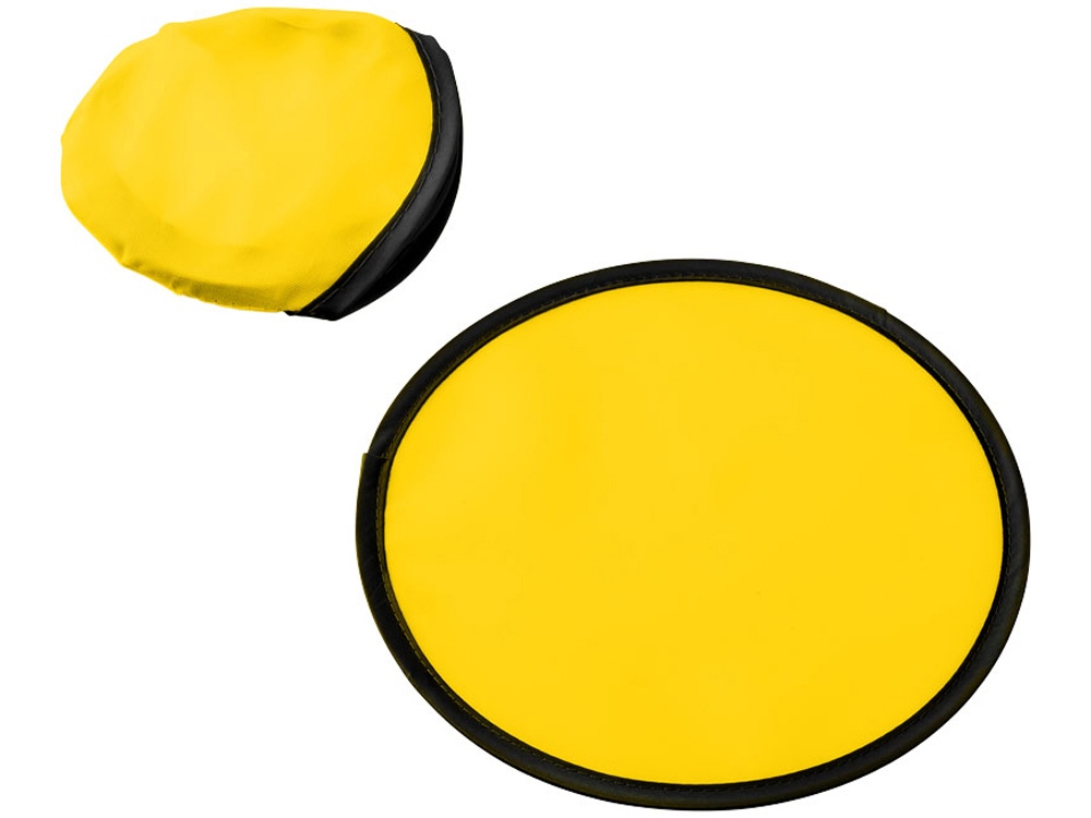 Фрисби Florida с логотипом  | Print Logo