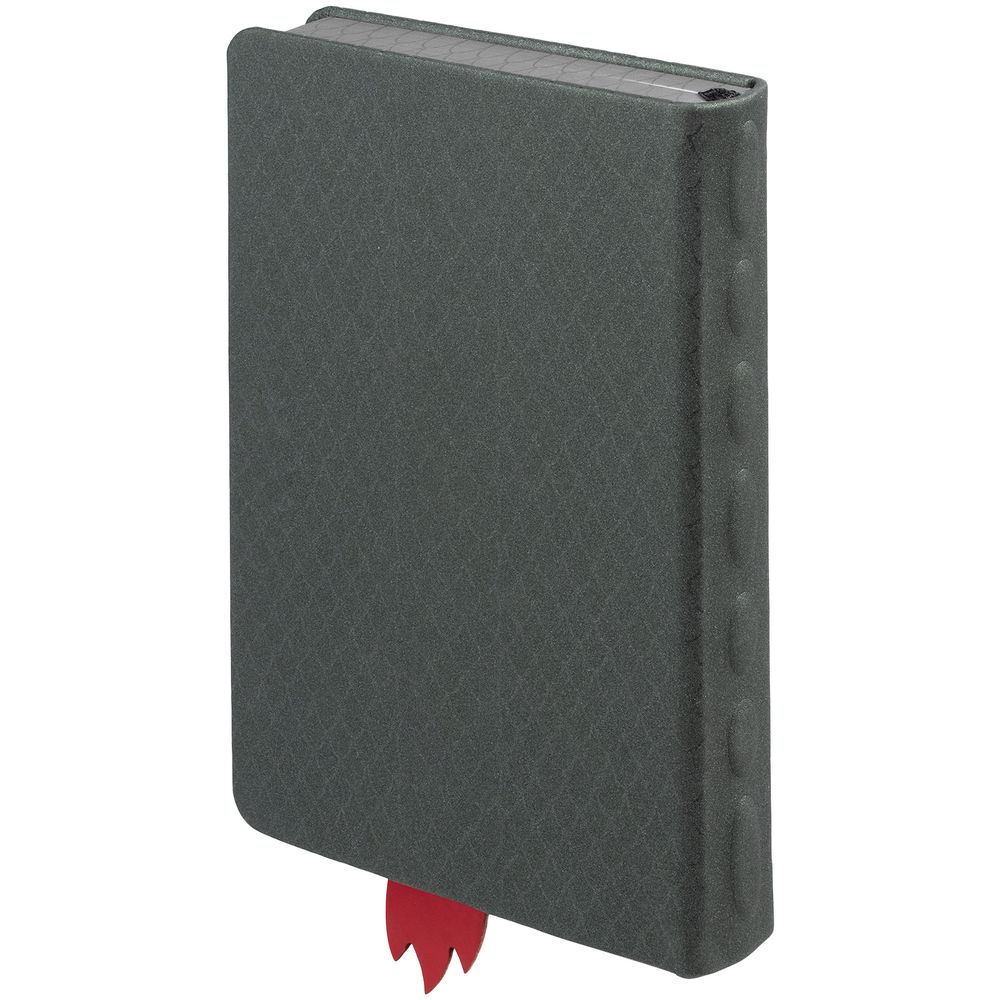 Ежедневник «Дракон», недатированный — пример нанесения логотипа (сделано в России) | Print Logo