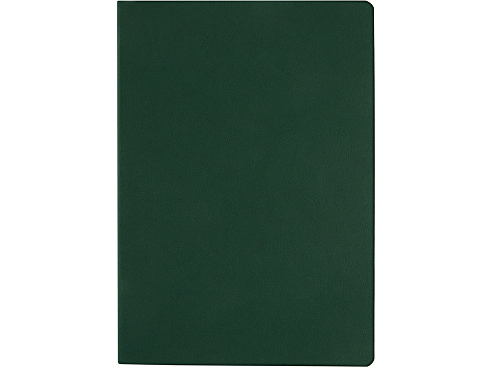 Ежедневник недатированный А5 Megapolis Color Flex, темно-зеленый