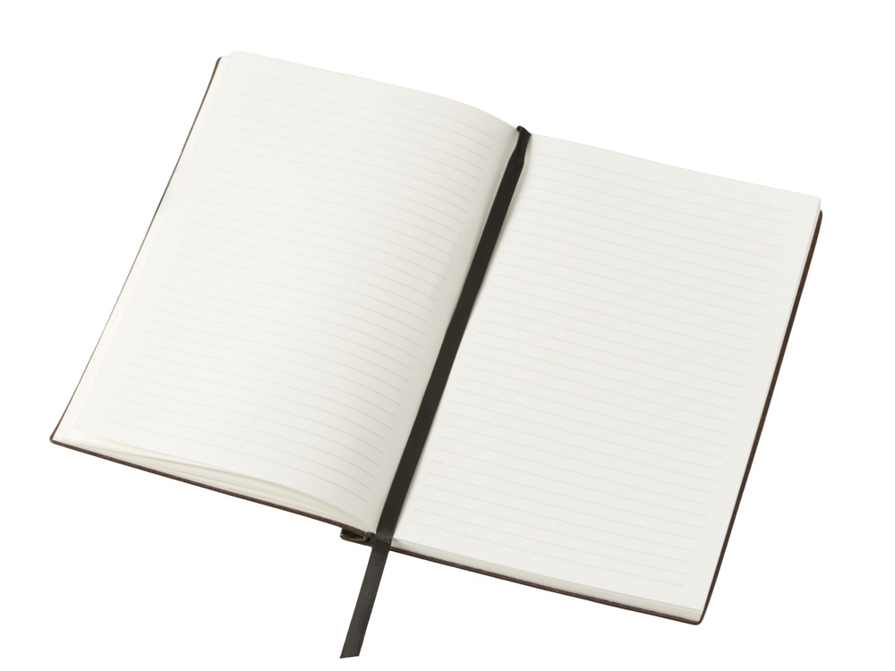 Блокнот А5 Scribe, гибкая обложка, 96 листов 80 гр/м2 , черный