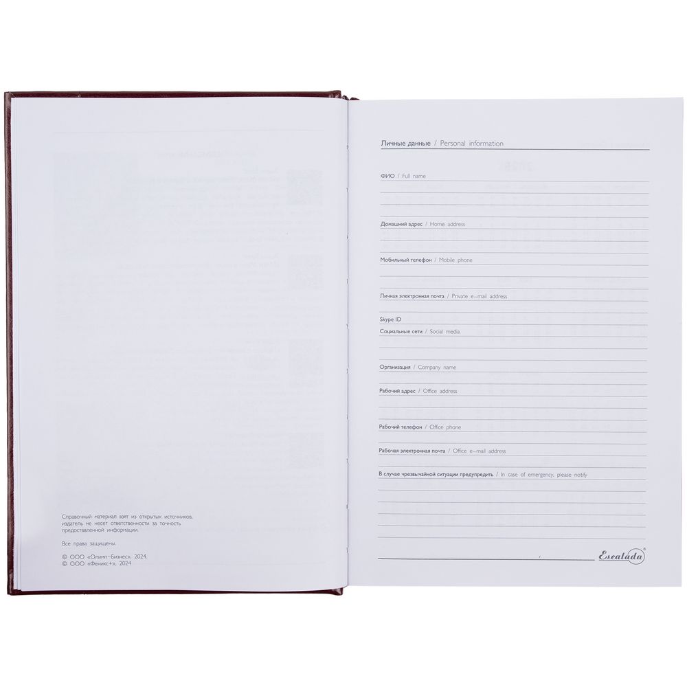 Ежедневник Baza, датированный