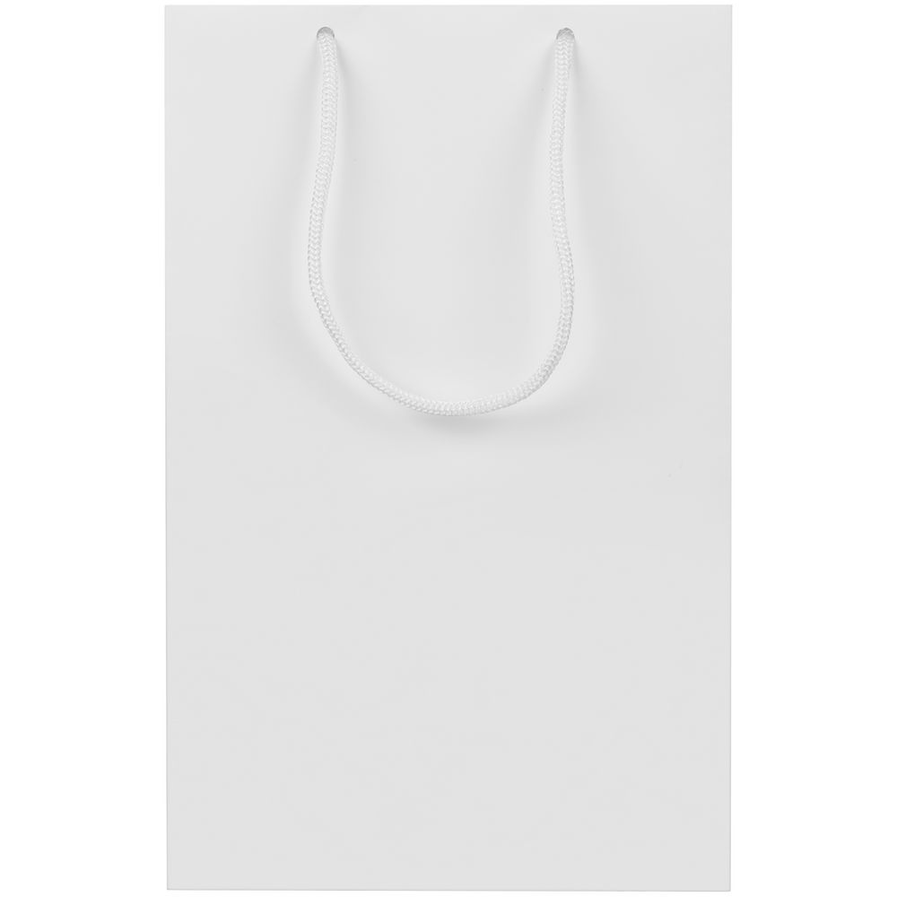 Пакет бумажный Lami M