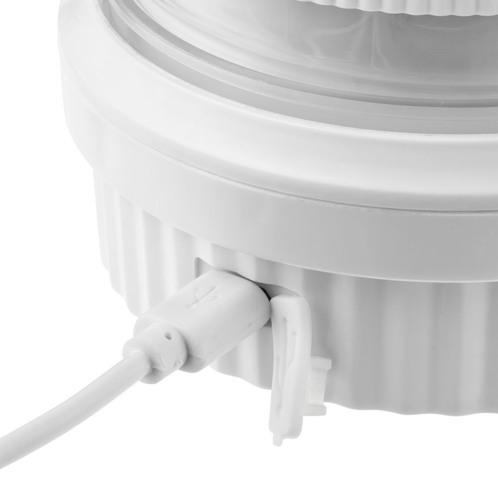 Портативный блендер Smoothberry и подарки фото на сайте Print logo.