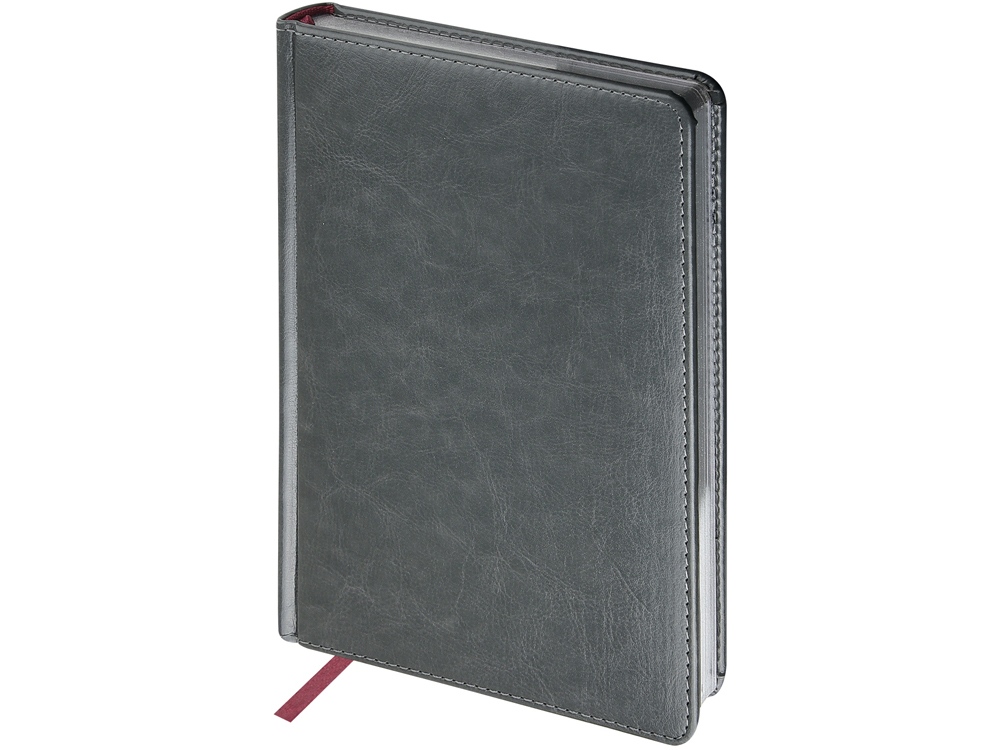 Ежедневник недатированный А5 Sidney Nebraska с серебряным срезом с логотипом Bruno Visconti | Print Logo