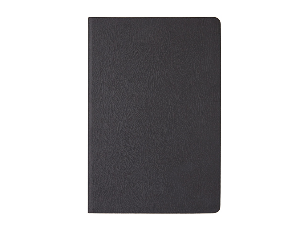 Ежедневник А5 датированный Megapolis Nappa на 2026, черный