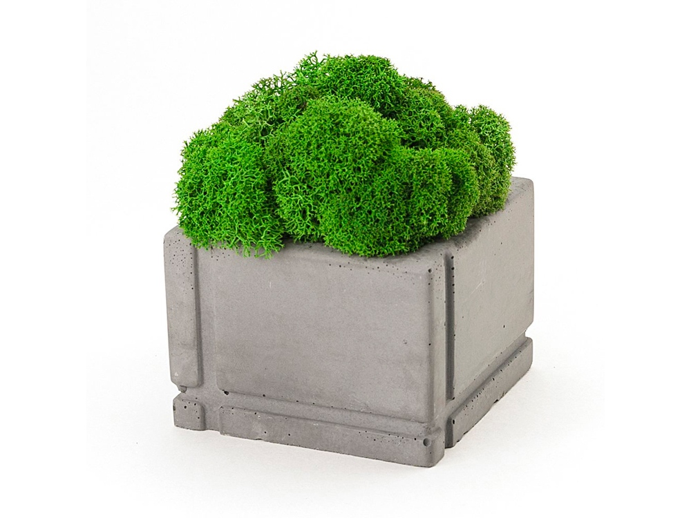 Кашпо бетонное со мхом Square с логотипом OKTAUR | Print Logo