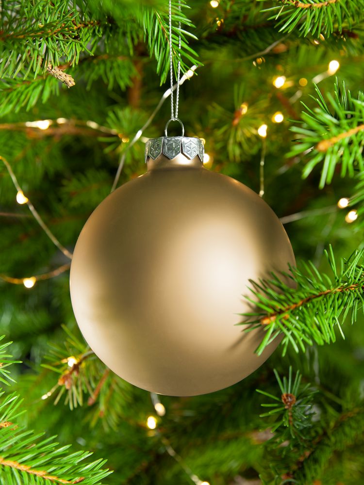 Елочный шар Finery Matt, 10 см