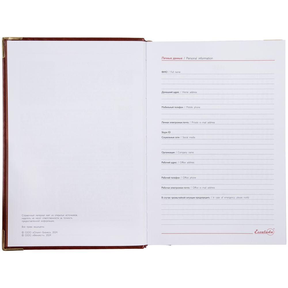 Ежедневник Lugo, датированный