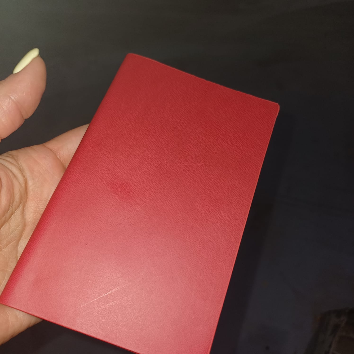 Блокнот А6 Riner, красный (Р)