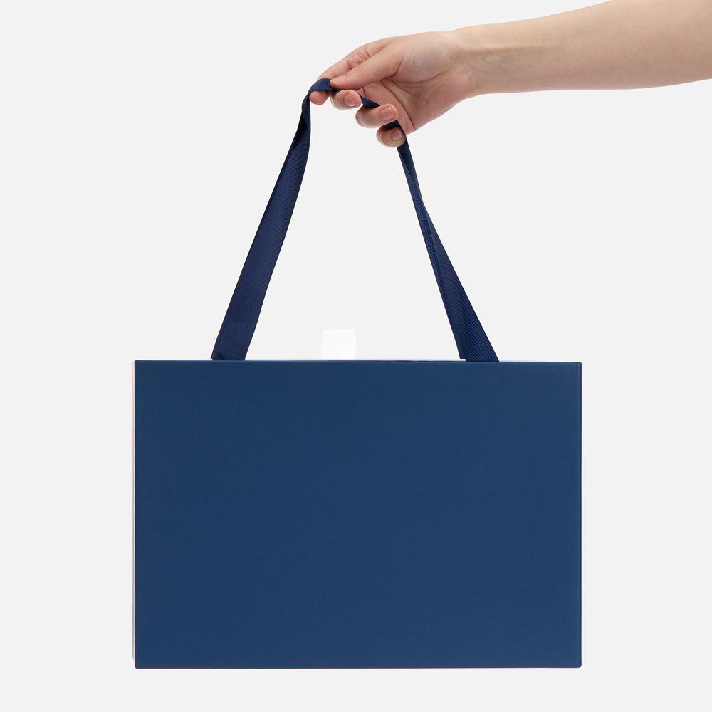 Коробка Regalis