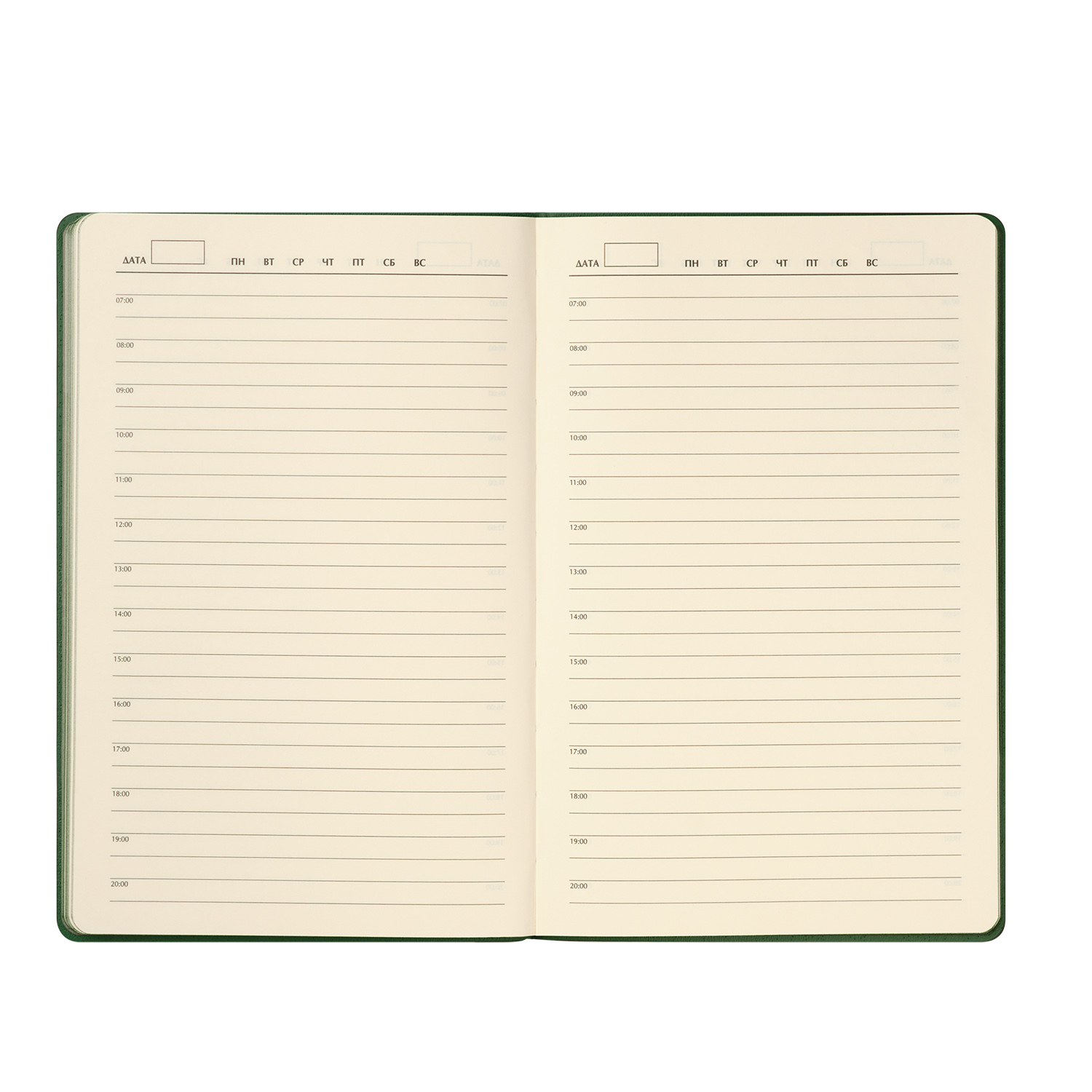 Ежедневник Rain недатированный, зеленый