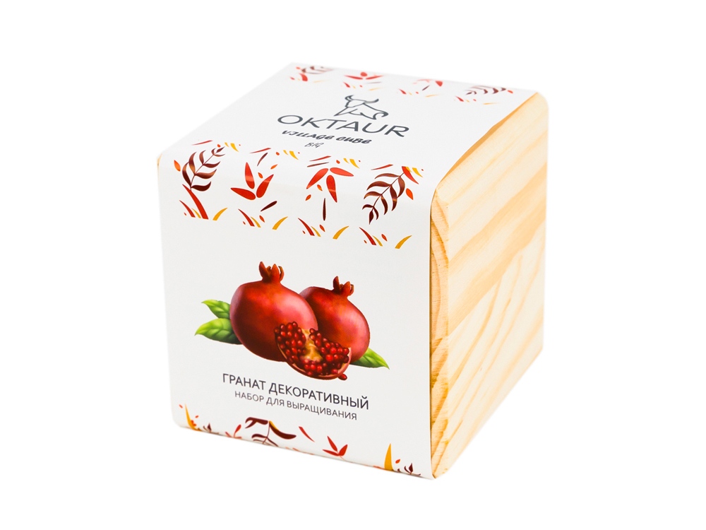 Набор для выращивания Big village cube Гранат комнатный с логотипом OKTAUR | Print Logo