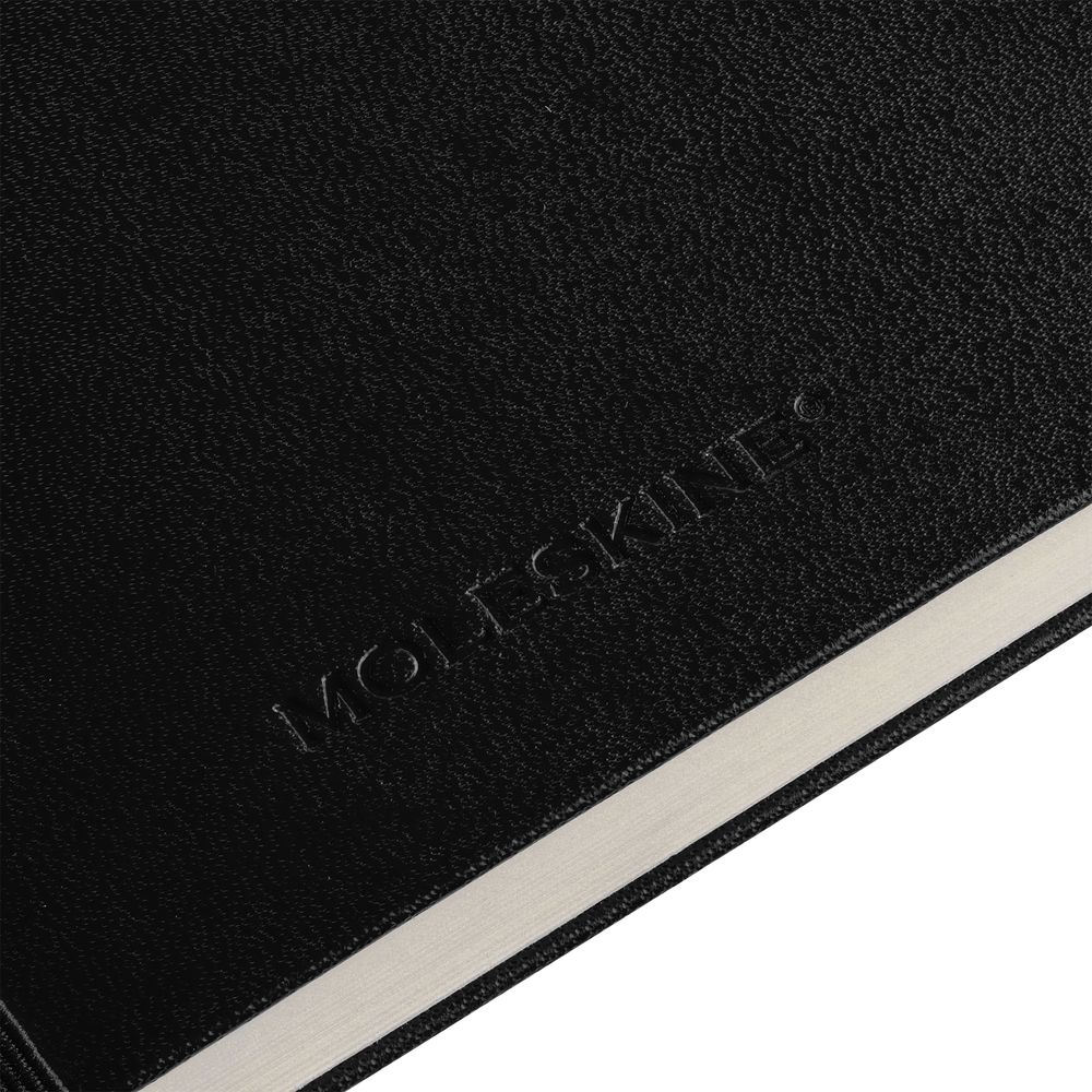 Записная книжка Moleskine Professional Large