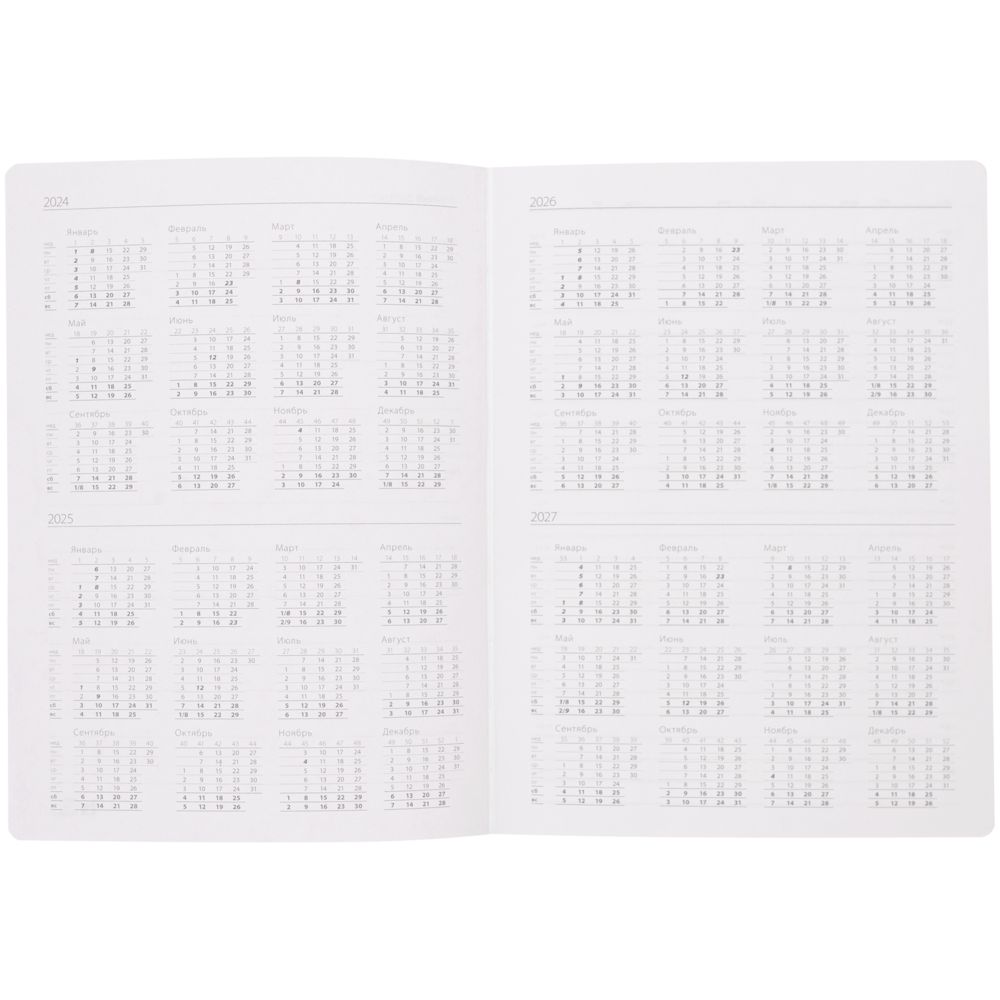 Ежедневник Frame, недатированный