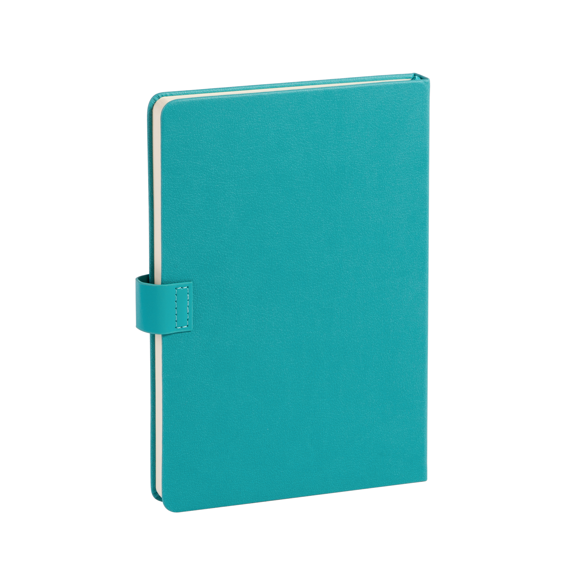 Ежедневник недатированный "Монти", формат А5, бирюзовый