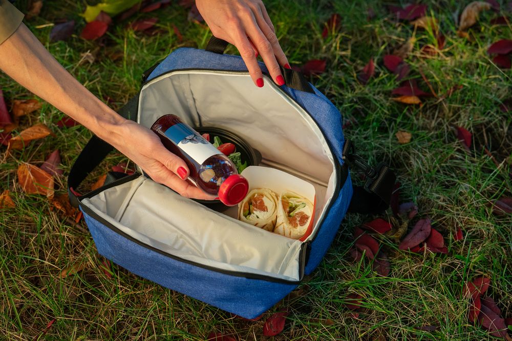 Термосумка Bartolo фото на сайте Print Logo. 