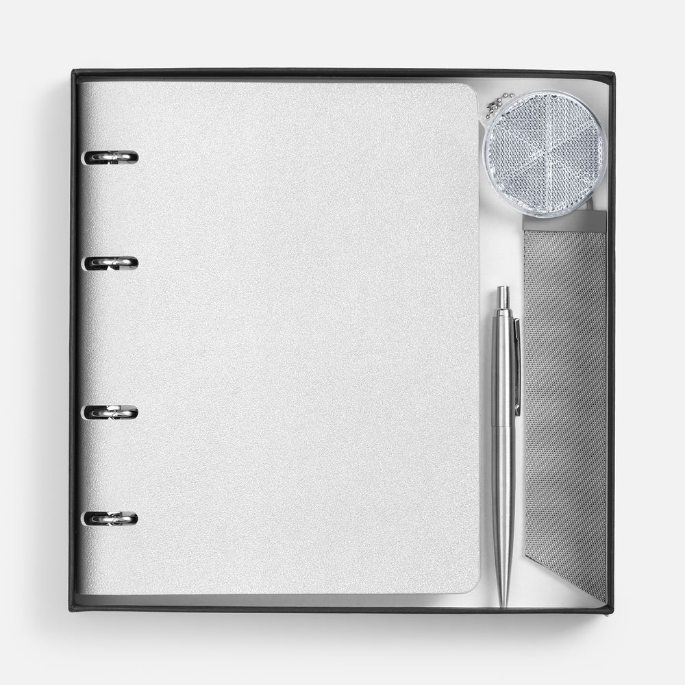 Набор Ringo и подарки фото на сайте Print logo.