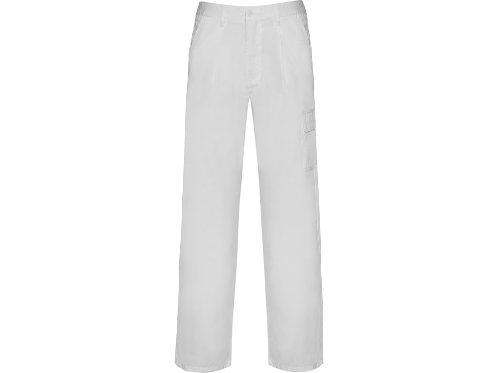 Брюки Pintor, мужские с логотипом Roly | Print Logo