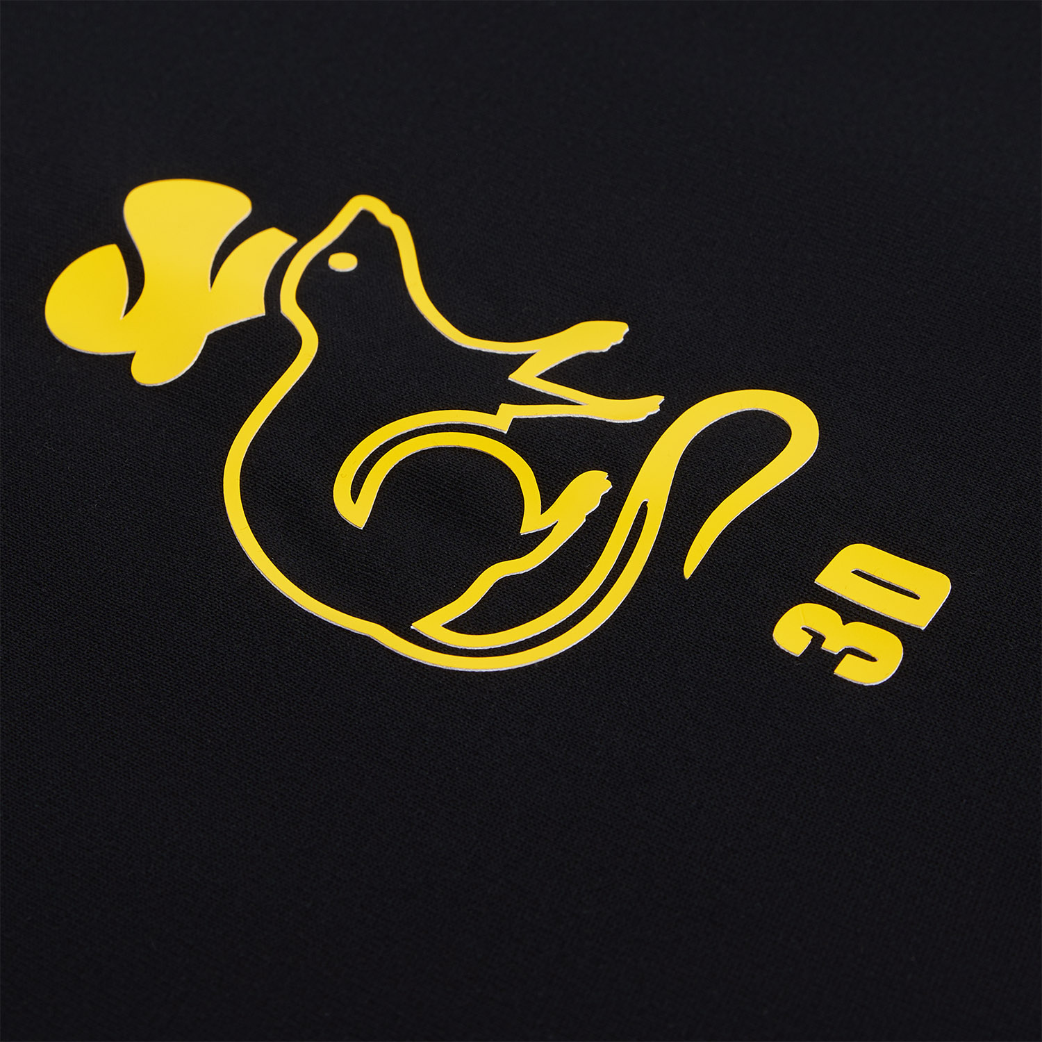 Футболка унисекс RUST, 100% хлопок, 240 гр., черная, размер XXXL Rattus фото на сайте Print Logo.