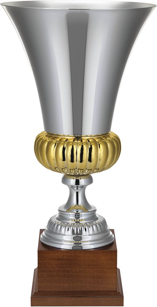 Кубок Erfolg — пример нанесения логотипа () | Print Logo