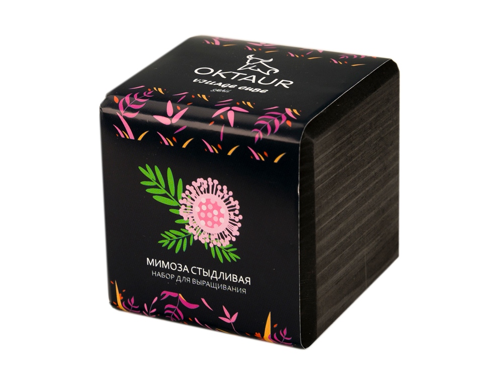 Набор для выращивания Small village cube Мимоза стыдливая с логотипом OKTAUR | Print Logo