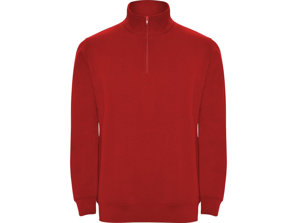 Свитшот Aneto мужской с логотипом Roly | Print Logo