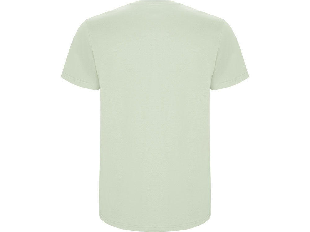 Футболка Stafford мужская, припыленный зеленый