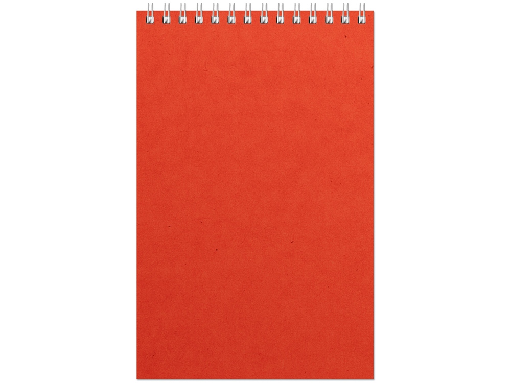 Бизнес - блокнот А5 Office с логотипом Альт | Print Logo