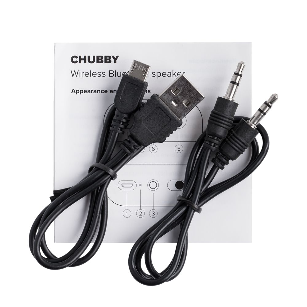 Беспроводная колонка Chubby фото на сайте Print Logo.