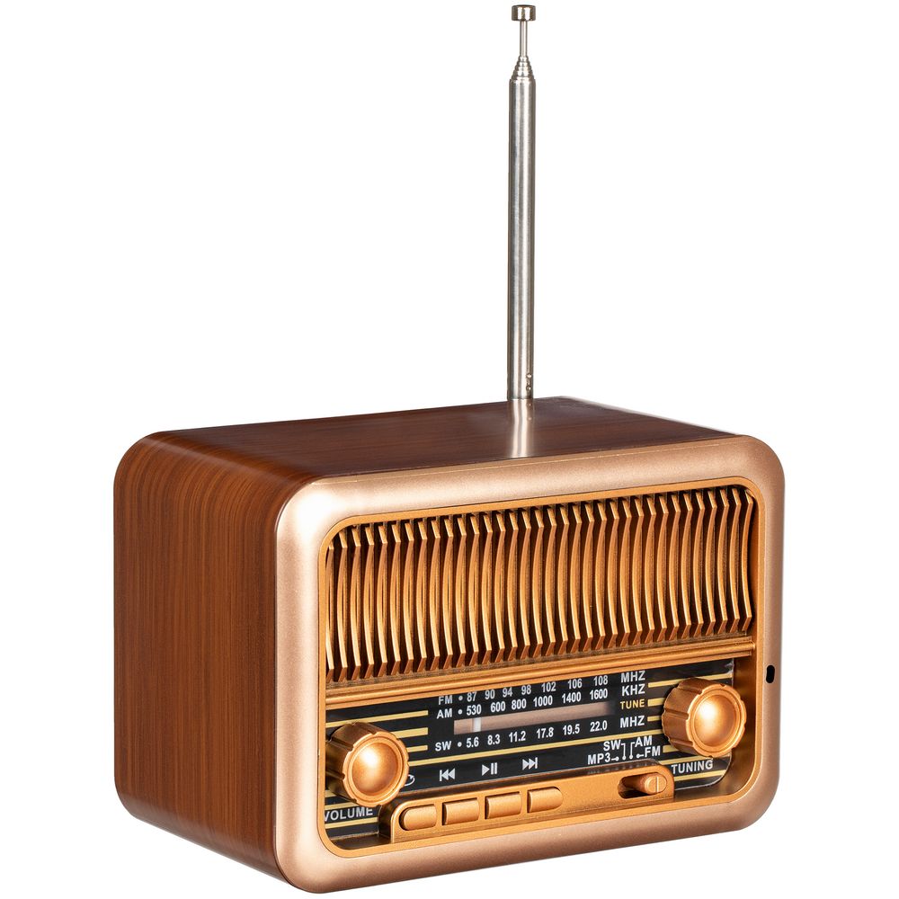 Bluetooth-колонка с радио Beatnik фото на сайте Print Logo.