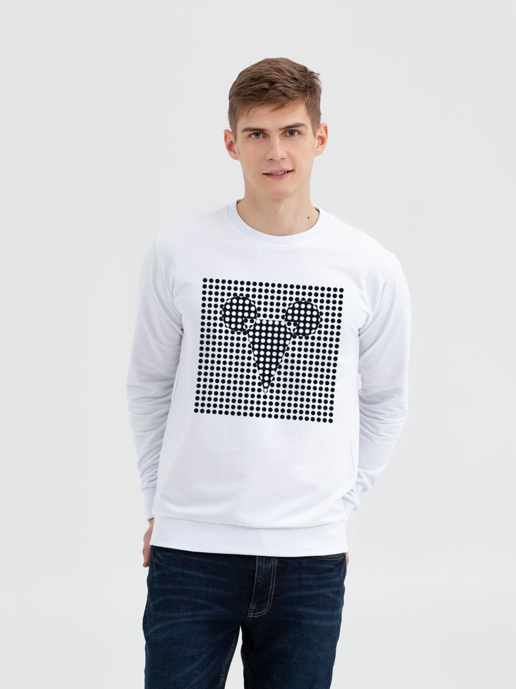 Свитшот Optical Mouse с логотипом CoolColor | Print Logo