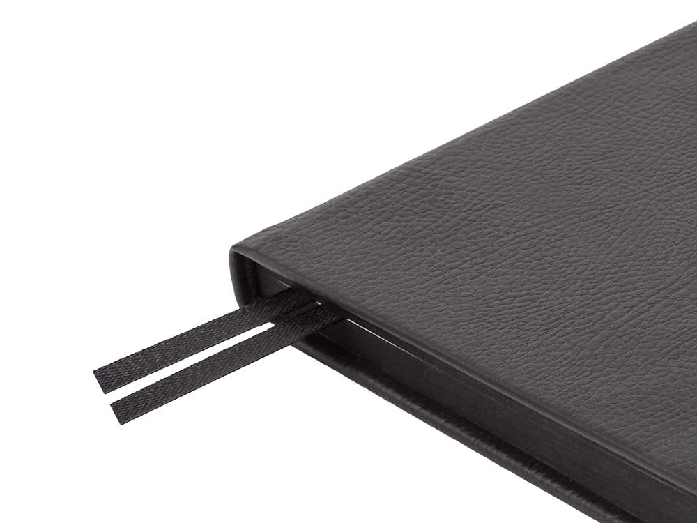 Ежедневник А5 датированный Megapolis Nappa на 2026, черный