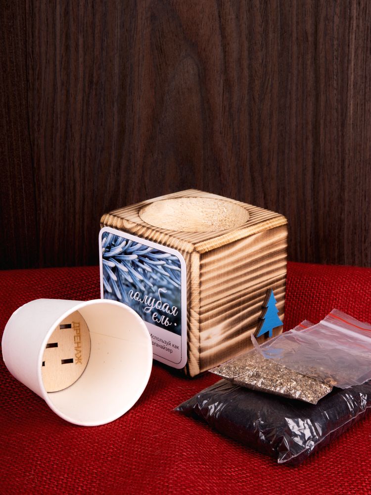 Набор для выращивания с органайзером «Экокуб Burn»