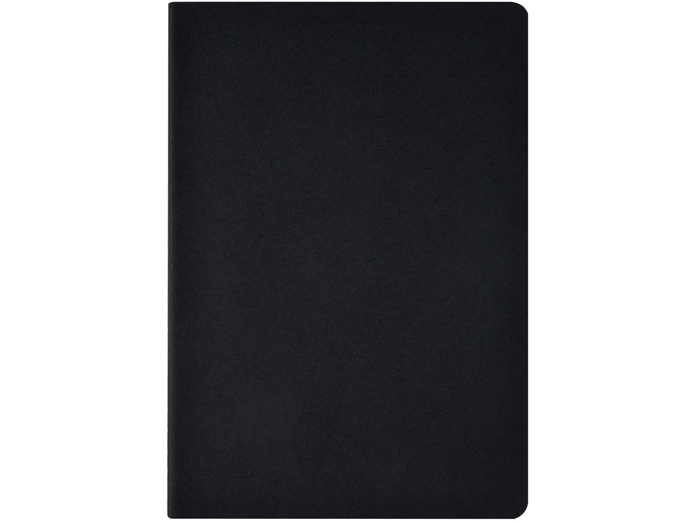 Бизнес-тетрадь А4 Pragmatic,  40л., клетка, черный